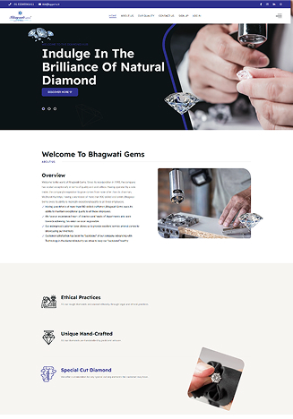 Bhagwati Gems Website Themes