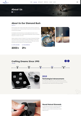 Bhagwati Gems Website Themes