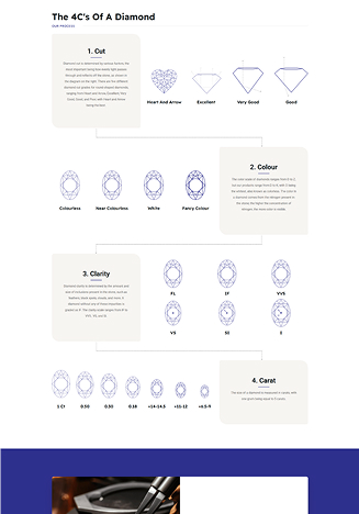 Bhagwati Gems Website Themes